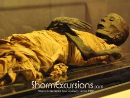 Egyptian Mummy at Cairo