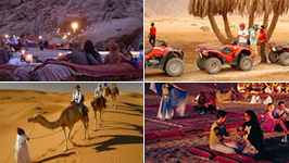 Sharm Desert Adventure - 5 Tours in 1