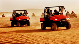 Buggy Safari 4 x 4 in Sharm Desert 
