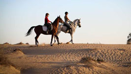 Question about Sharm Desert Horse Riding