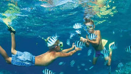 Ras Mohamed Or Tiran Island Snorkeling Trip By Boat