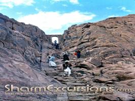 Mt Sinai Steps