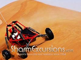 Sharm Sand Dune Buggy
