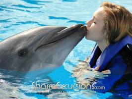 Kissing a dolphin Sharm