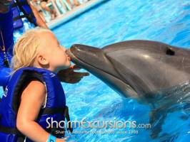 Child swimming with dolphin in Sharm
