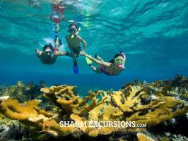 Family snorkelling Tiran island, Egypt