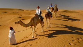 Camel Ride & Bedouin Tea in Sharm